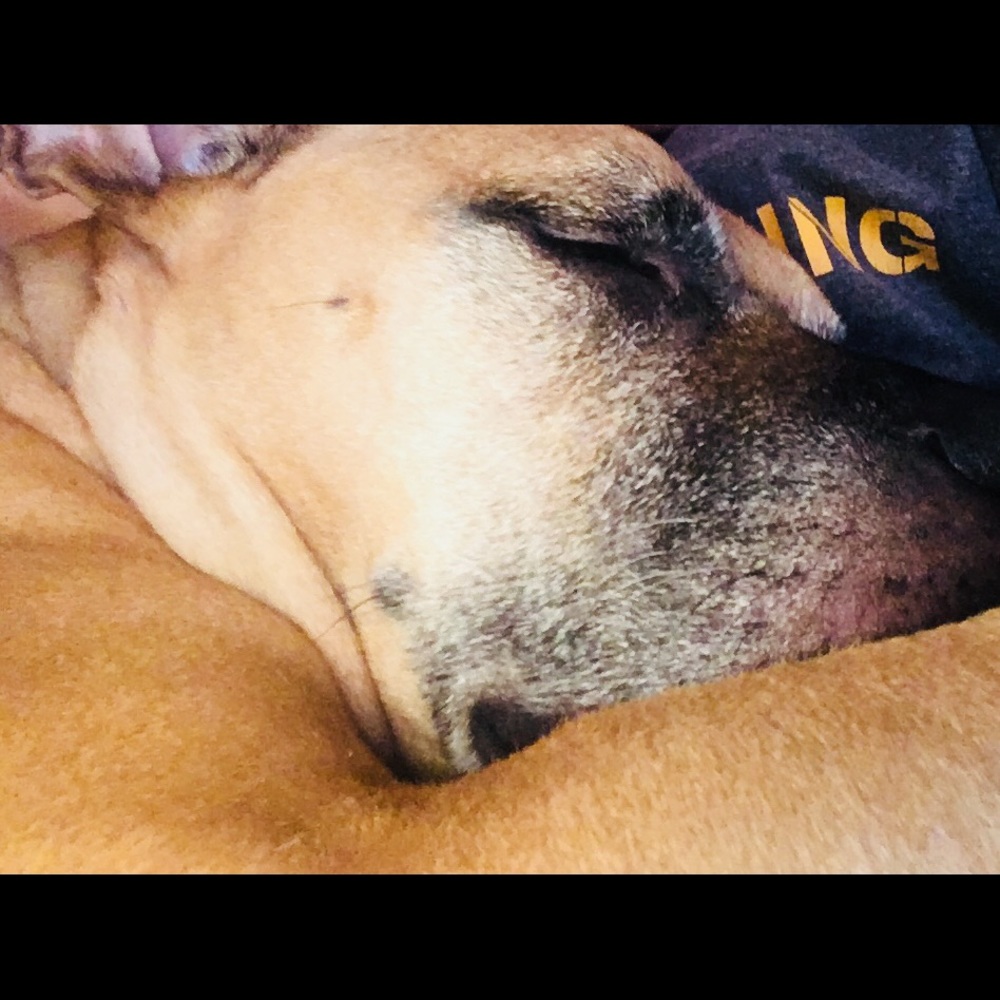 Meet your Posher, Caitlin